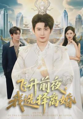飞升前夜我选择离婚