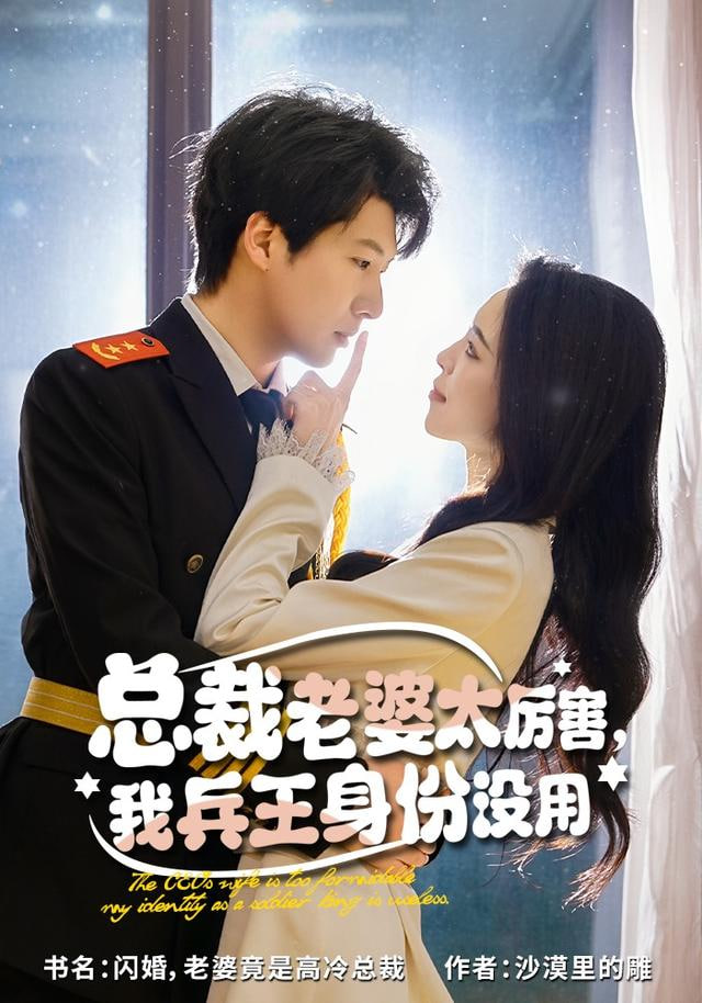 总裁老婆太厉害我兵王身份没用