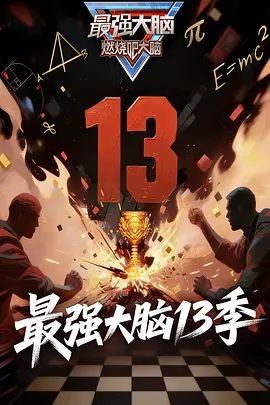 最强大脑13