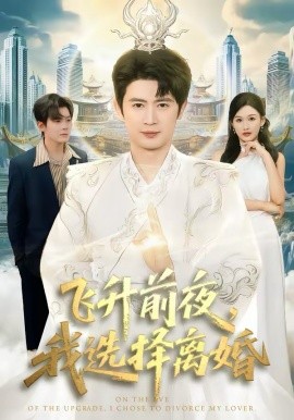 飞升前夜我选择离婚