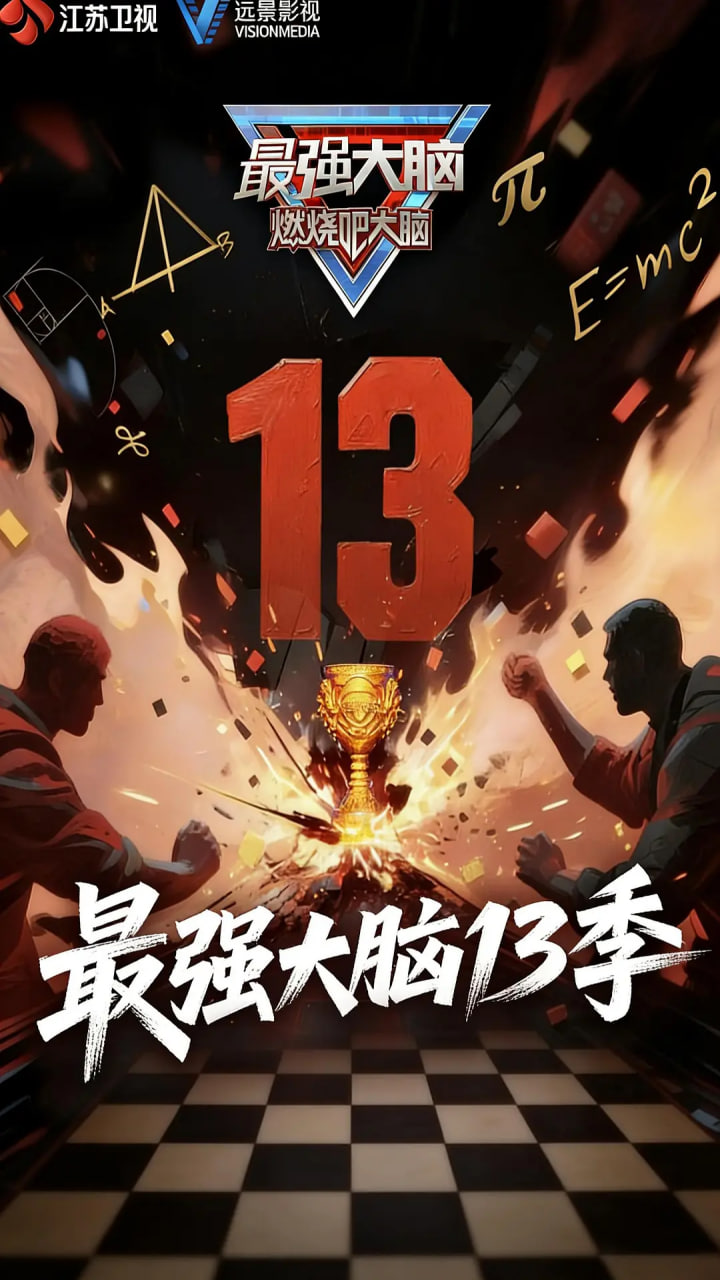最强大脑13