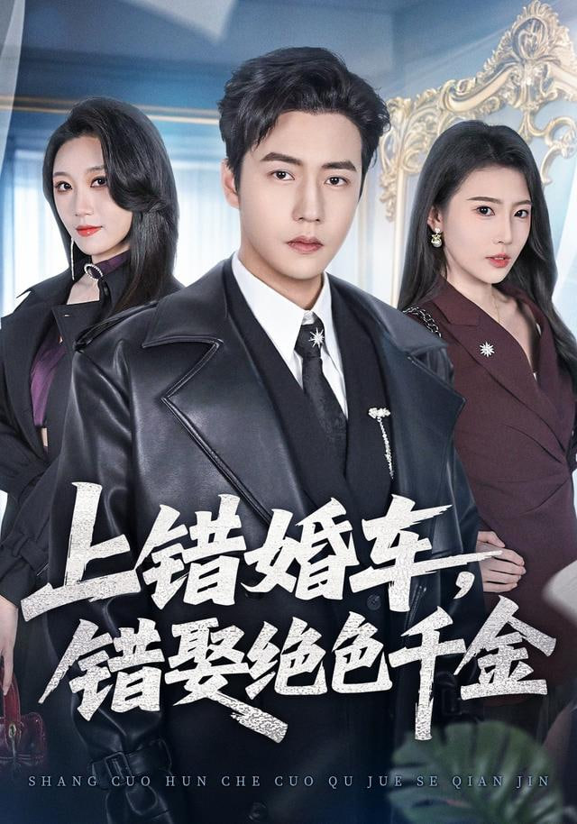 上错婚车错娶绝色千金