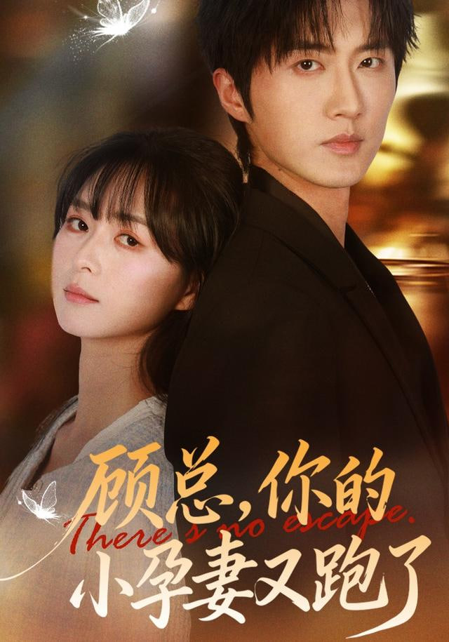 顾总你的小孕妻又跑了