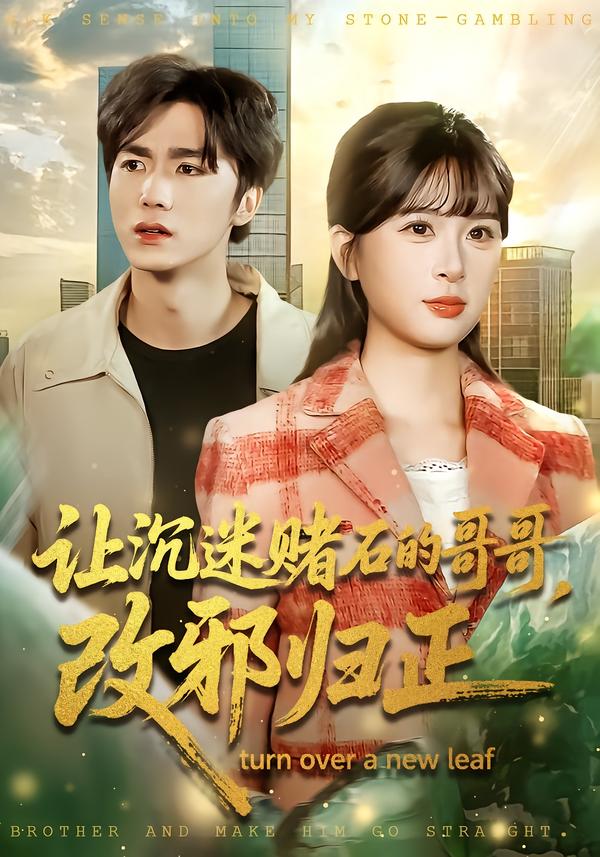 让沉迷赌石的哥哥改邪归正