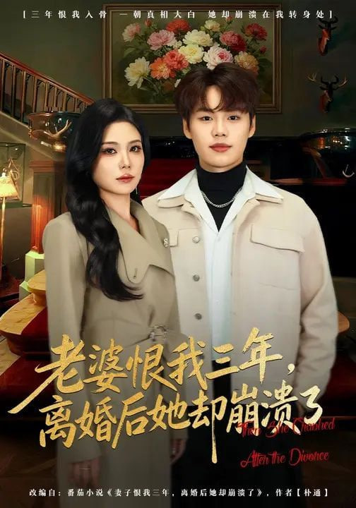 老婆恨我三年离婚后她却崩溃了