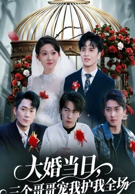 大婚当日三个哥哥宠我护我全场