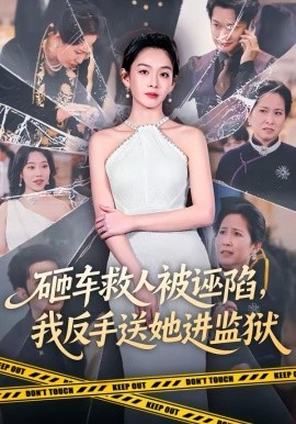 砸车救人被诬陷我反手送她进监狱