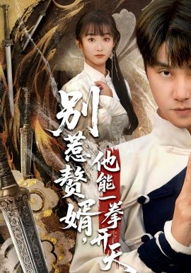 别惹赘婿他能一拳开天