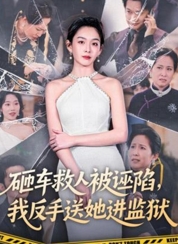 砸车救人被诬陷我反手送她进监狱