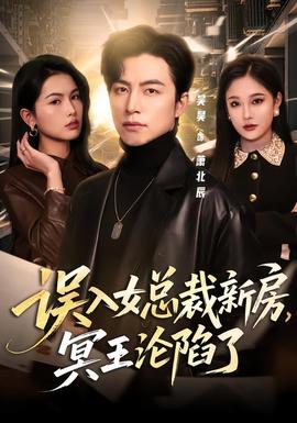 误入女总裁新房冥王沦陷了