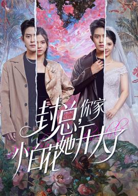 封总你家小白花她开大了