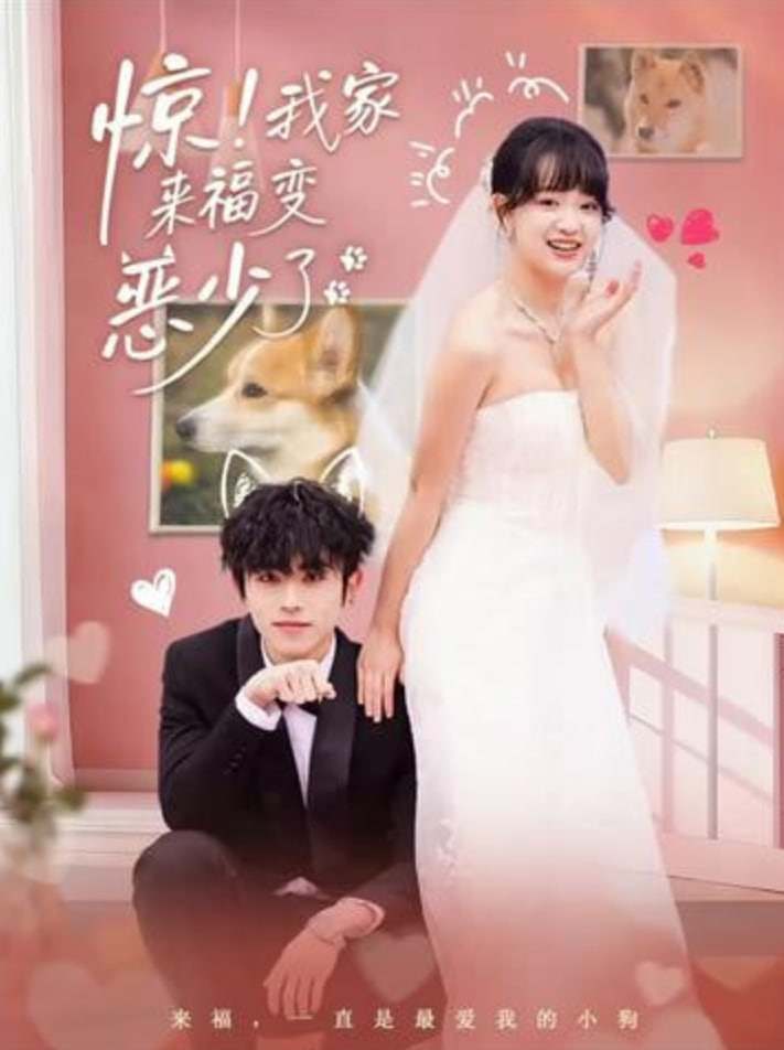 惊我家来福变恶少了忠犬变恶少