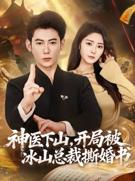 神医下山开局被冰山总裁撕婚书