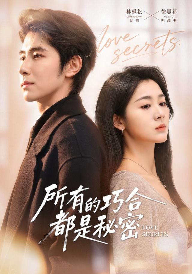 所有的巧合都是秘密陆总夫人她只想离婚