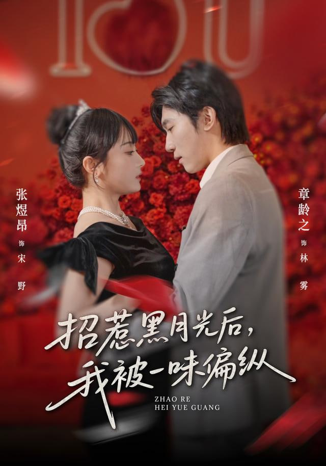 招惹黑月光后我被一味偏纵