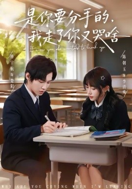 是你要分手的我走了你又哭啥
