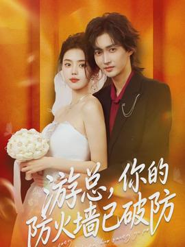 游总你的防火墙已破防