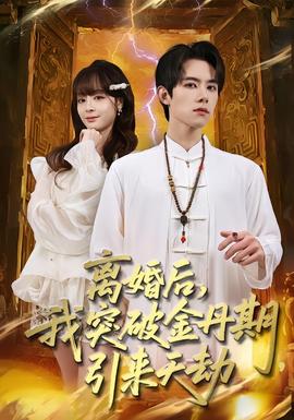 离婚后我突破金丹期引来天劫