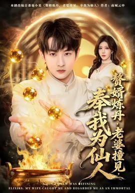 赘婿炼丹老婆撞见奉我为仙人