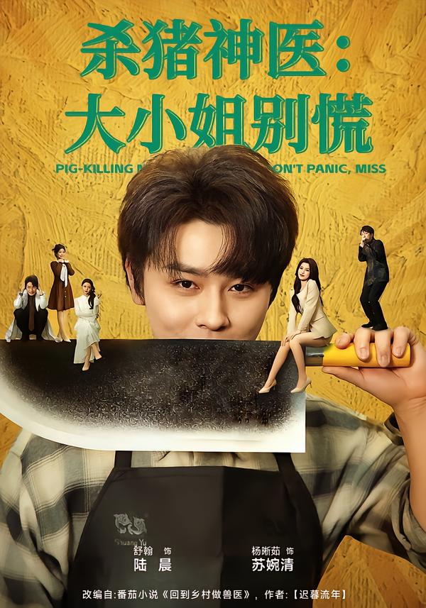 杀猪神医大小姐别慌