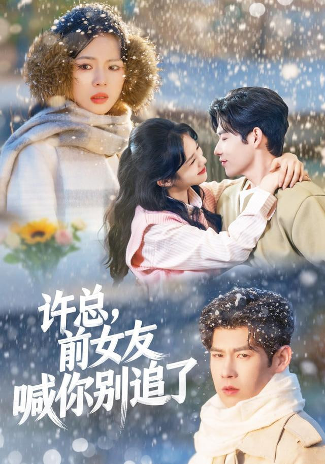 许总前女友喊你别追了