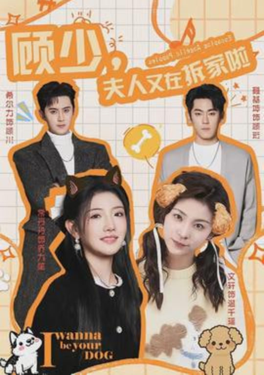 顾少夫人又在拆家啦